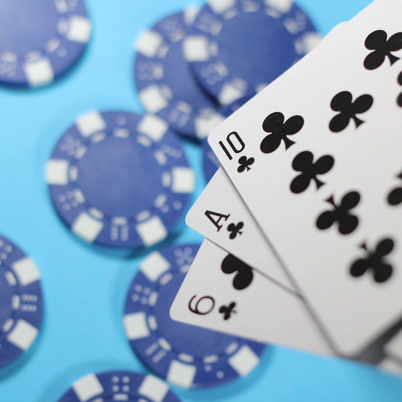 Shio Table betting interface on mobile phone